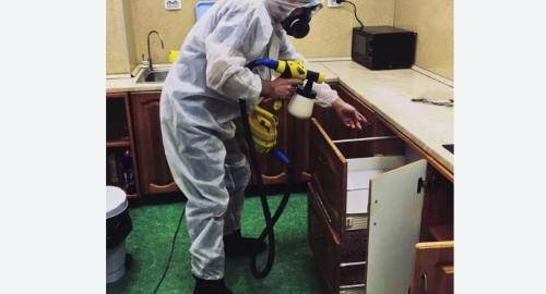 Дезинсекция квартиры. Севск