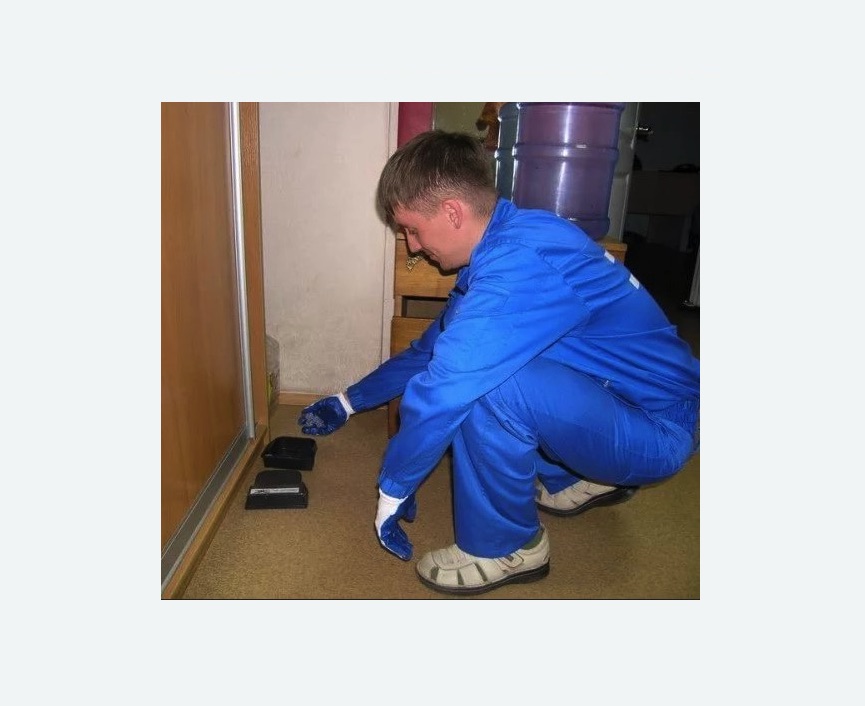 Дератизация крыс в Севске