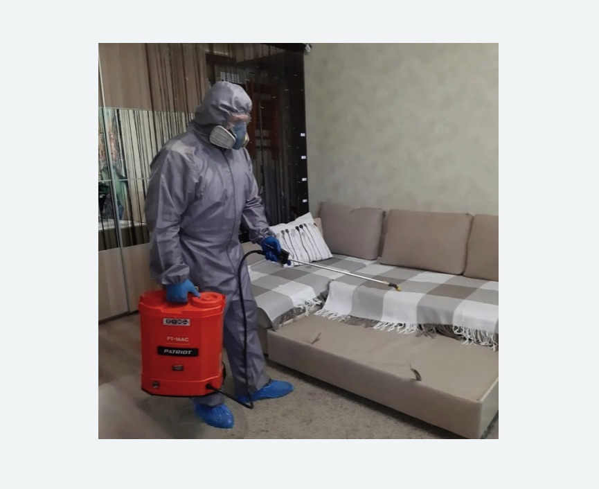 Обработка квартиры от блох в Севске Обработка квартиры от блох