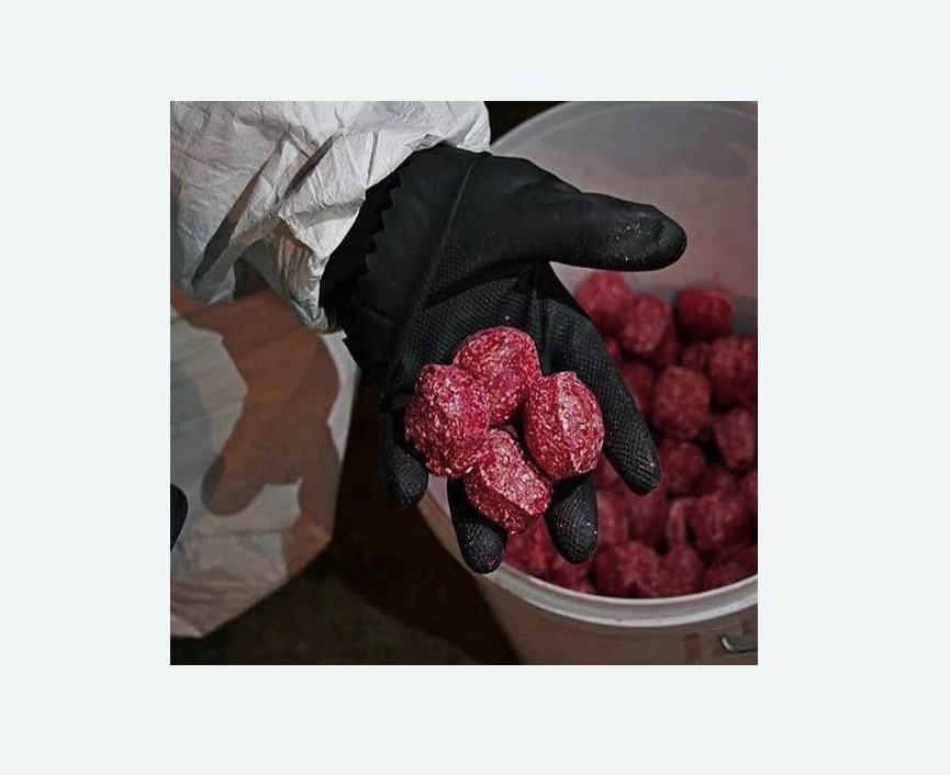 Обработка от крыс в Севске