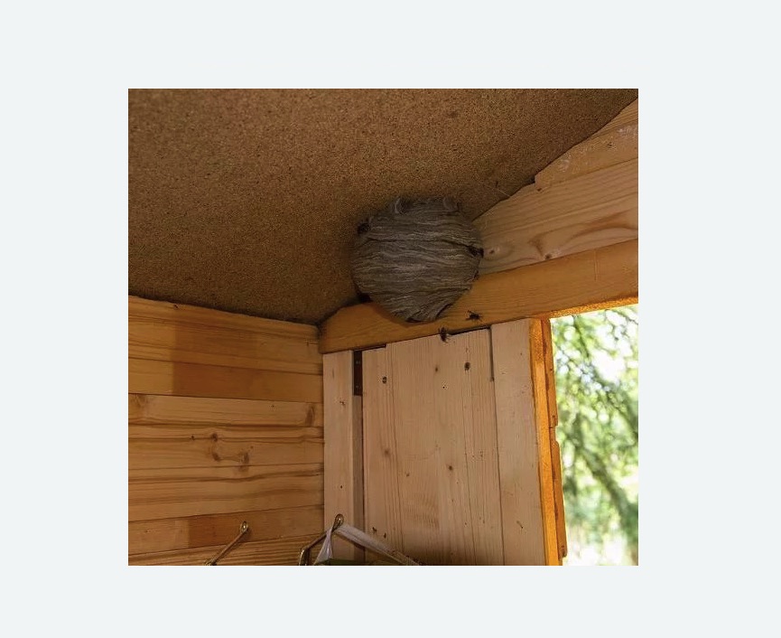 Обработка от ос в Севске Обработка от ос