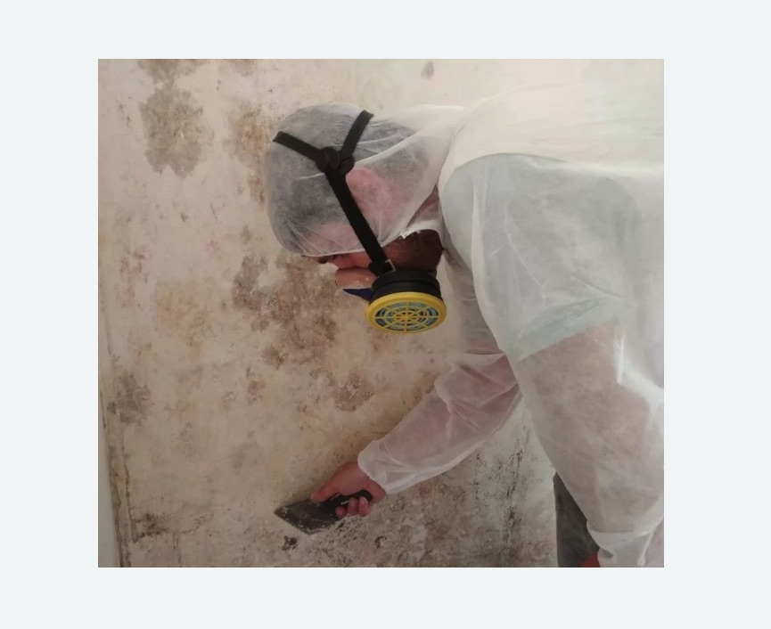 Обработка стен от плесени Обработка стен от плесени в Севске