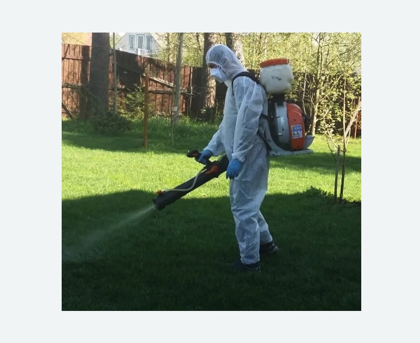 Обработка участка от клещей в Севске Обработка участка от клещей