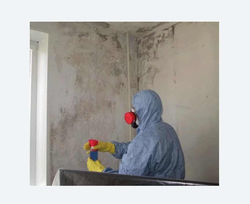 Удаление плесени в квартире Удаление плесени в квартире в Севске