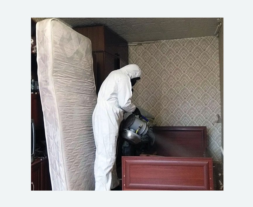 дезинфекция от клопов дезинфекция от клопов в Севске