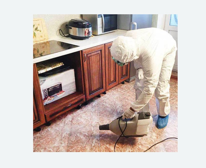 обработка квартиры от клопов в Севске обработка квартиры от клопов