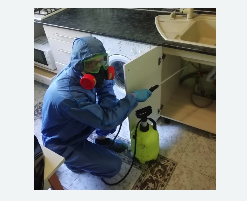 обработка от муравьев в квартире обработка от муравьев в квартире в Севске